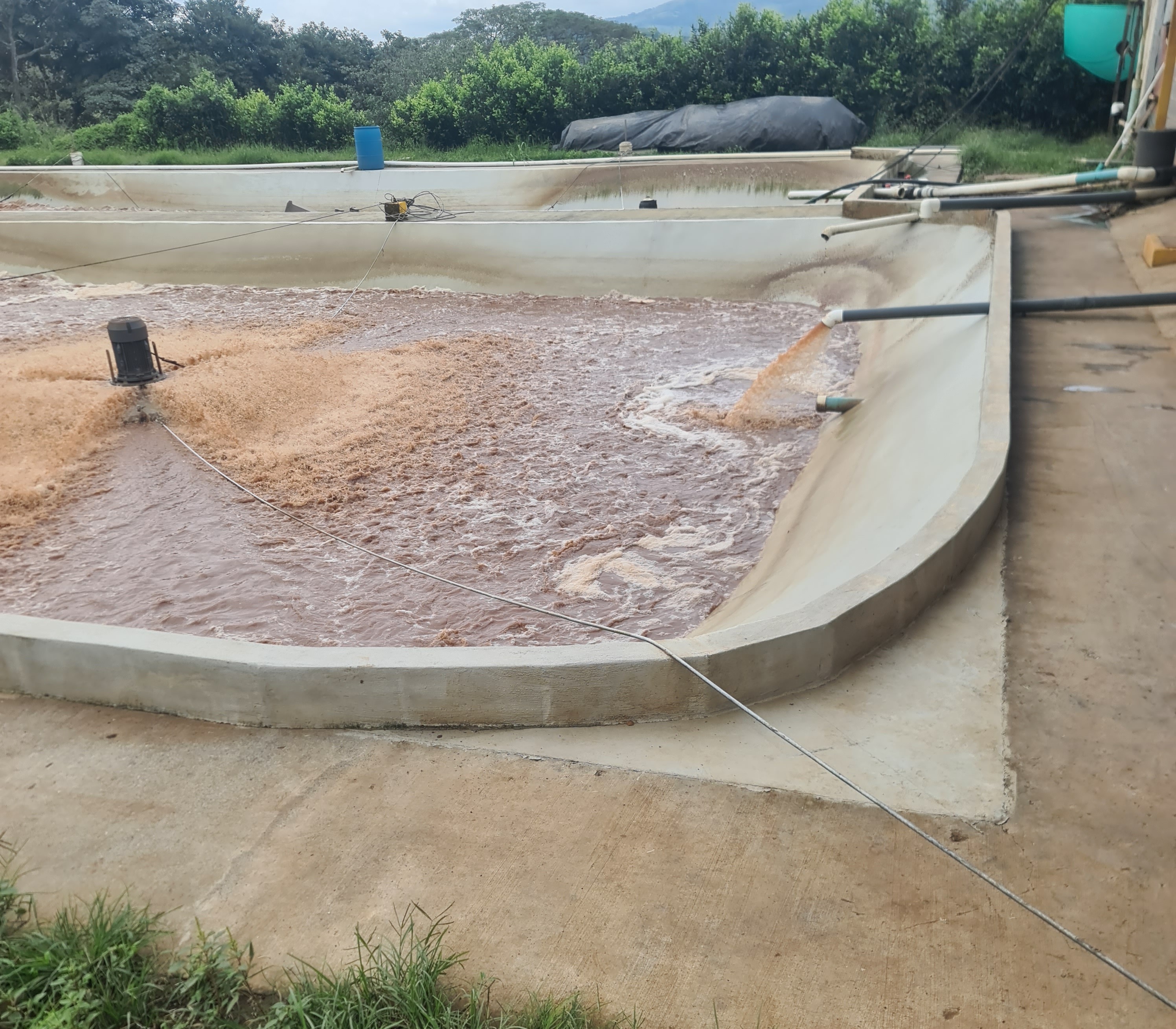 Proceso constructivo de laguna
