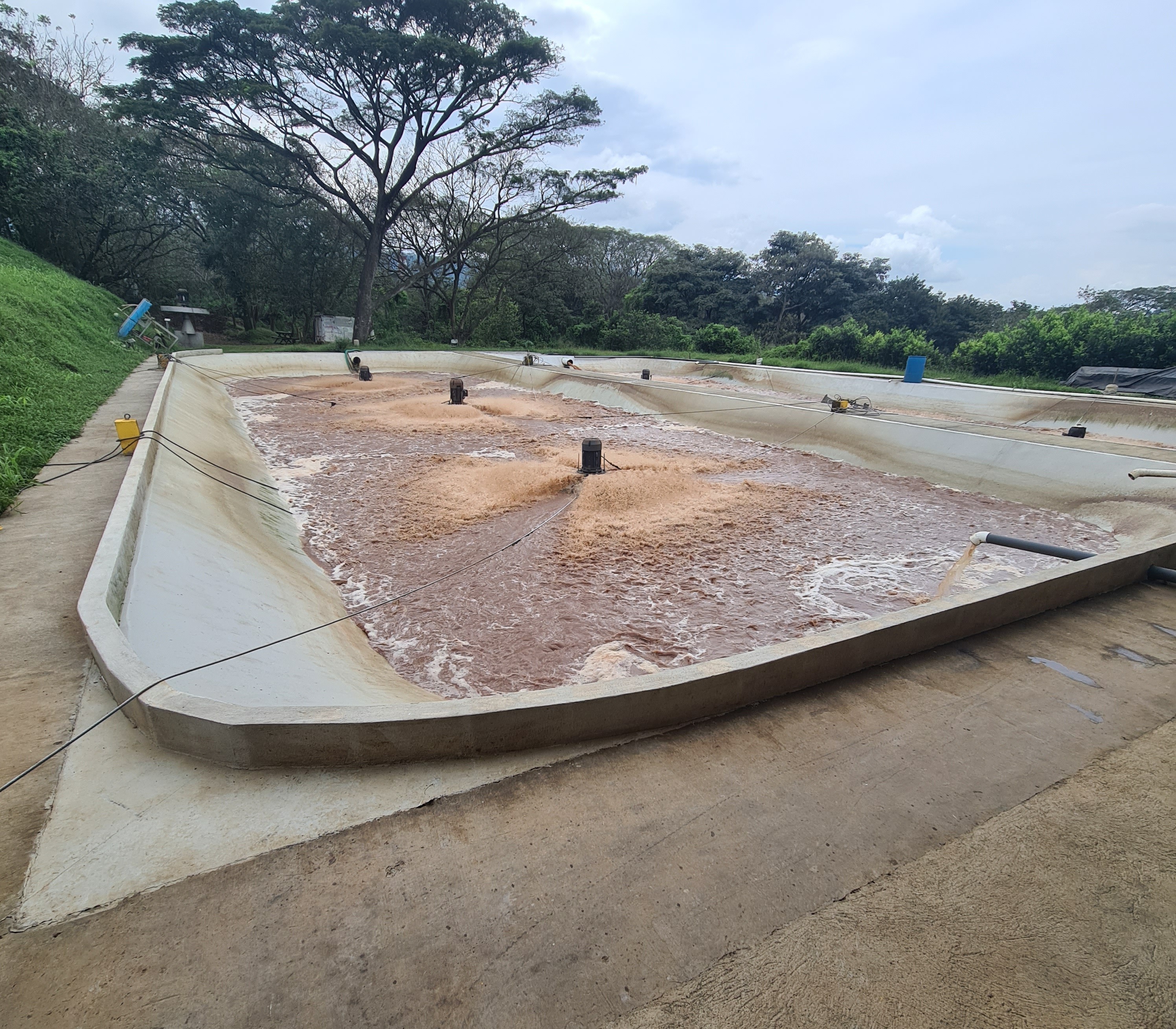 Proceso constructivo de laguna